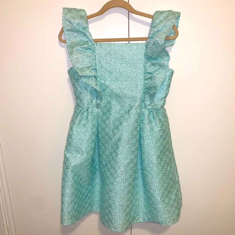 Janie & Jack Special Occasion Dress!